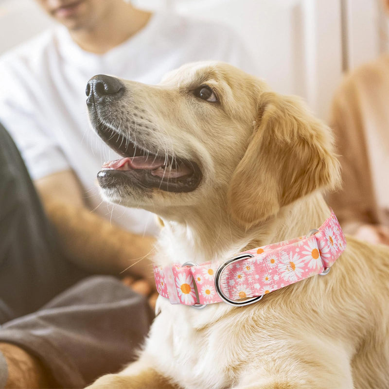 Martingale Collar for Dogs Medium Large, Girl Dog Collars with Adjustable Soft Nylon and Special Pink Daisy Floral Design, Training No Slip Dog Collar (S) 8 S (Neck 12"-17") - PawsPlanet Australia