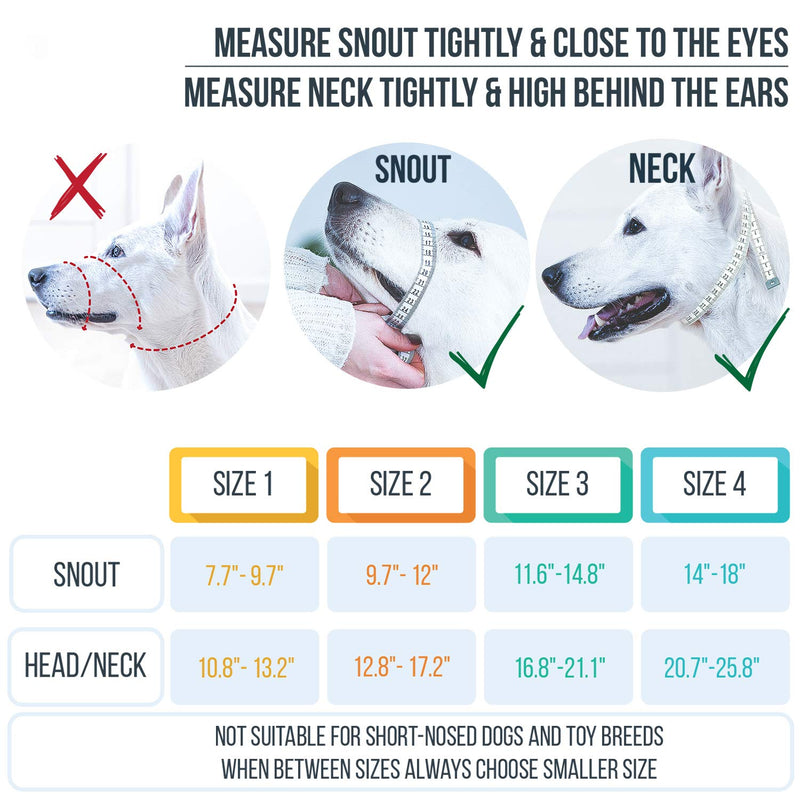 GoodBoy Dog Head Halter with Safety Strap - Stops Heavy Pulling On The Leash - Padded Headcollar for Small Medium and Large Dog Sizes - Head Collar Training Guide Included (Size 2, Blue Nylon) Size 2 (Pack of 1) Blue Nylon / Black Padding - PawsPlanet Australia