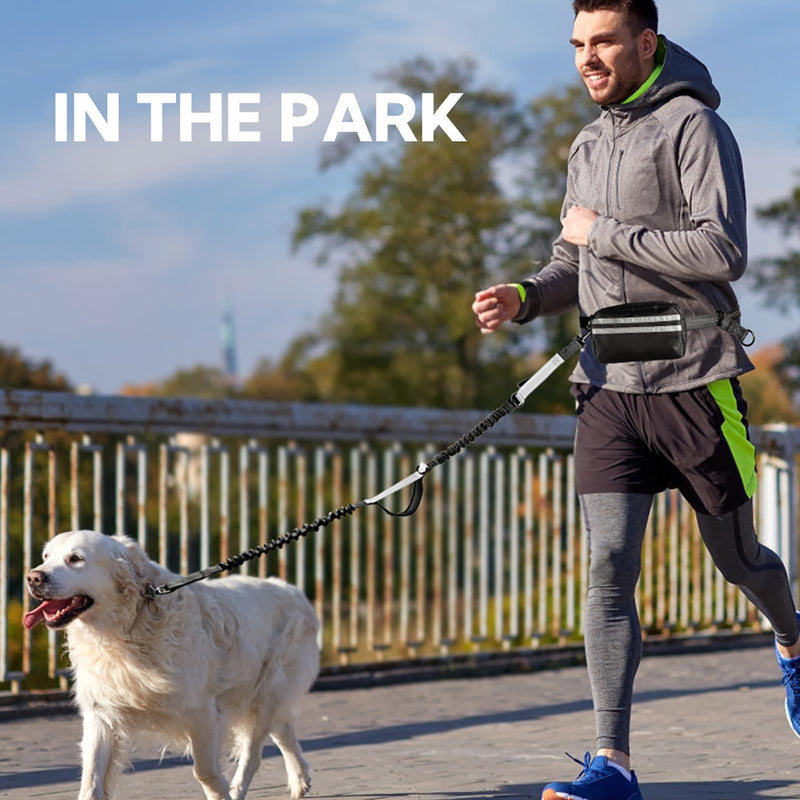 Hands Free Dog Leash with Pouch, Double Leash for Two Dogs, Retractable Bungee with Double Padded Handles, Dog Waist for Dog Walking,Dog Walking Accessories,Black Grey Black/Silver Gray Large 2 Leashes - PawsPlanet Australia
