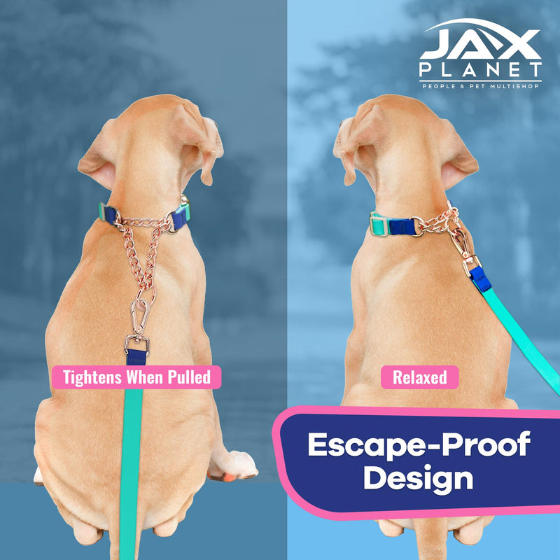 Jelly Waterproof Martingale Dog Collar, No Pull Nylon Collar with Alloy Metal Buckle & D-Ring for Outdoor Training and Walking, Anti Pull, Escape Free, One Time Adjustment - Blue & Rose, XL Collar:(XL)Neck:22"~28" Collar:Blue-Rose - PawsPlanet Australia