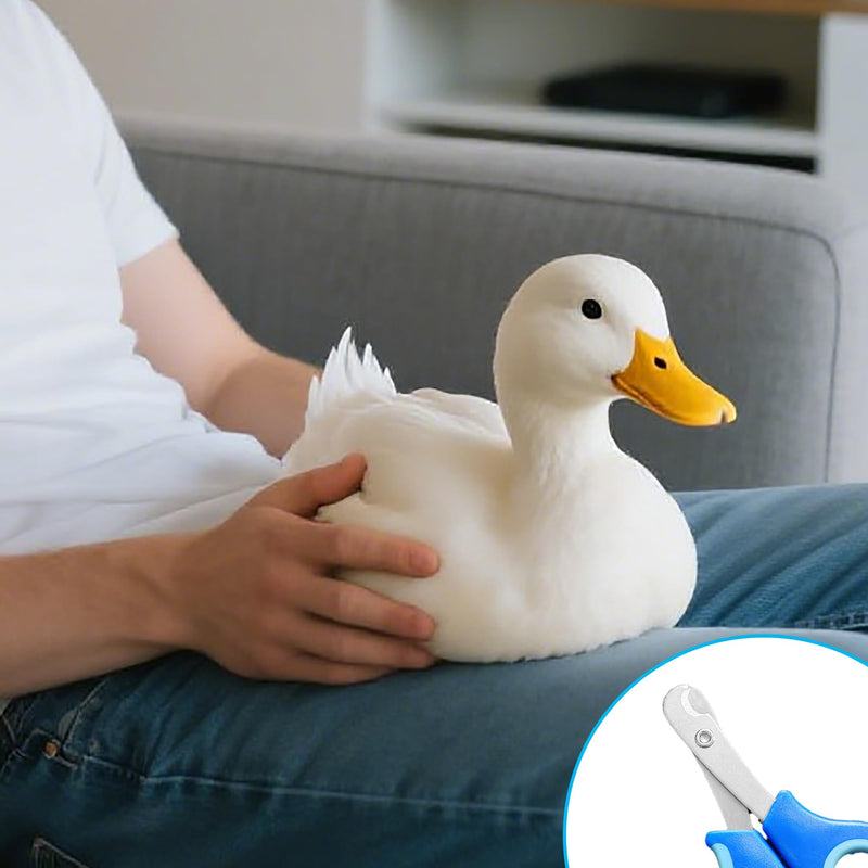 Call Duck Nail Clippers with Nail File，Stainless Steel Call Duck Chicken Hen Roster Goose Toe Nail Clippers Professional Grooming Pet Tool for Small Breed Animals - PawsPlanet Australia