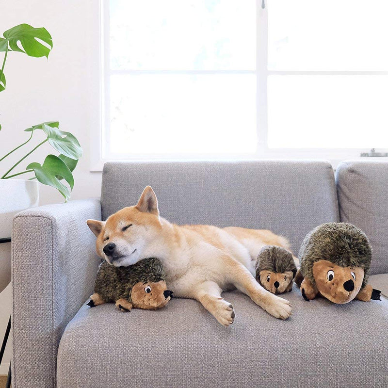Outward Hound, Hedgehogz Plush Dog Toy, Medium Dog Plush Hedgehogz Medium (Pack of 1) - PawsPlanet Australia