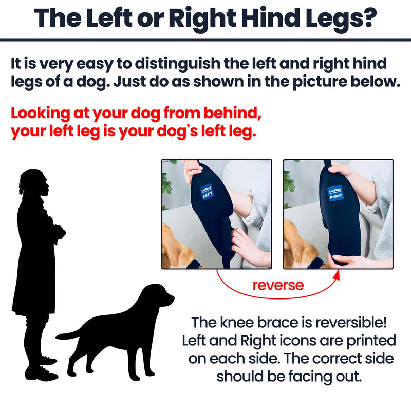 Dog Knee Brace with Harness and Connection Belt, Lightweight and Stretchable, Support for Torn ACL Hind Leg, Luxating Patella, Reduces Arthritis Pain and Inflammation (XX-Small) XX-Small