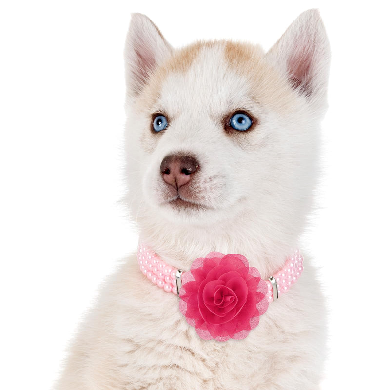 10 PCS Dog Collar Flower Accessories Pet Charms, 3.15 Inch Colorful Pet Charms Puppy Pet Flower Collars for Dogs, Cats Grooming Accessories - PawsPlanet Australia