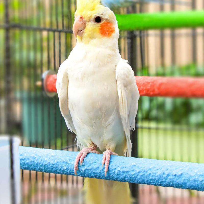 Hamiledyi 4 PCS Parrot Perch Stand Toy Bird Cage Perch Toy Natural Paw Grinding Stick for Medium Parrots Parakeets Cockatiels Lovebirds Chewing Stick (M) M(7.9inch) - PawsPlanet Australia