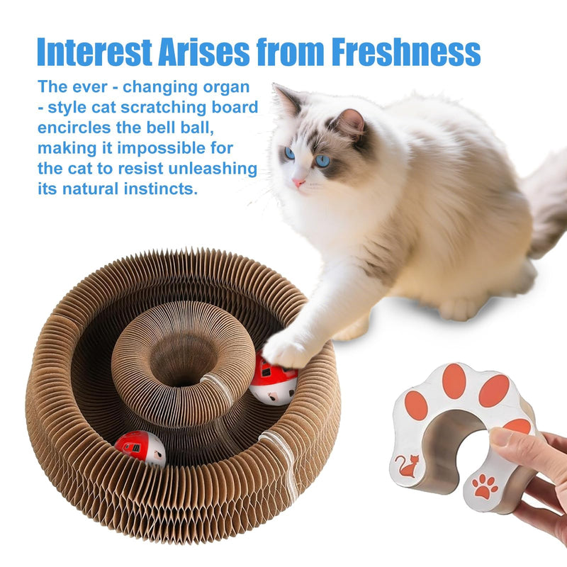 2 Pack Kitty Kurls Cat Scratcher, Magic Organ Cat Toy Scratching Board with Bell Balls, Reversible Corrugated Cardboard for Pet Claw Care Style 1 - PawsPlanet Australia