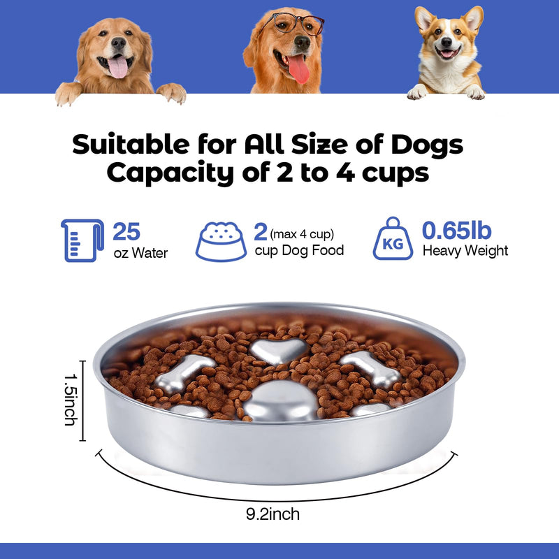 Slow Feeder Dog Bowls Stainless Steel Dog Bowls with Non-Slip Rubber Base Metal Large Capacity Slow Feed Dog Bowl for Small Medium Size Dogs Large Breed - PawsPlanet Australia