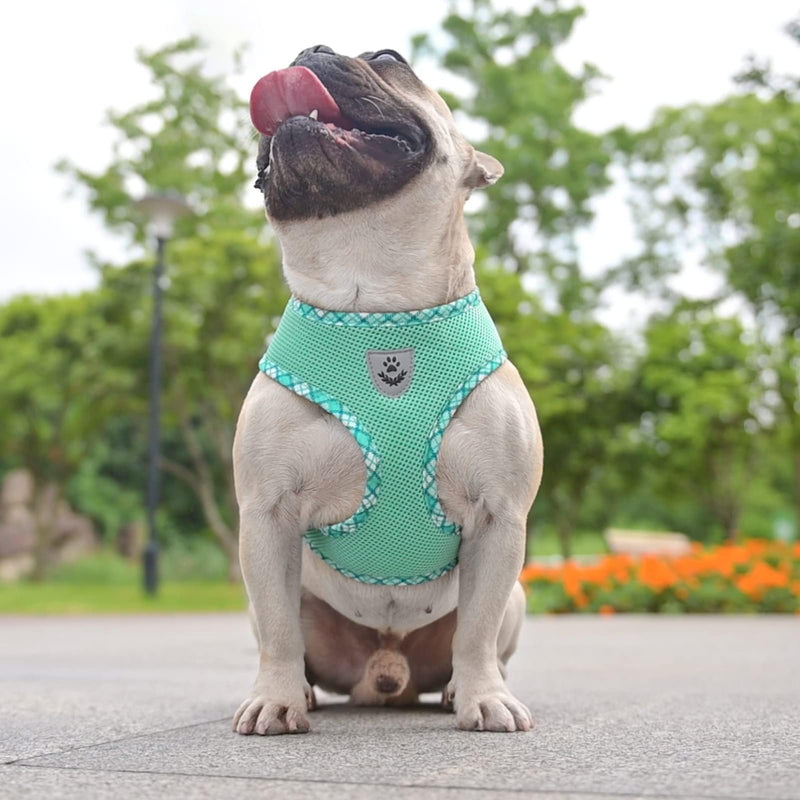 BINGPET Dog Harness and Leash Set,Reflective No Pull Dog Vest Harness Soft Mesh Breathable,Adjustable Step-in Pet Harness for Small Medium Dogs Puppy Cats(Green,L) Large Green(Mesh)-2pcs - PawsPlanet Australia
