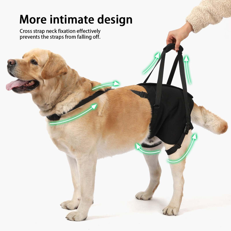 NOYAL Dog Lift Sling for Large Dogs – Hind Leg Support Harness for Senior, Injured, Disabled Dogs, Rear Leg Mobility Aid, Padded Handle for Stairs, Car, Walk Black Small