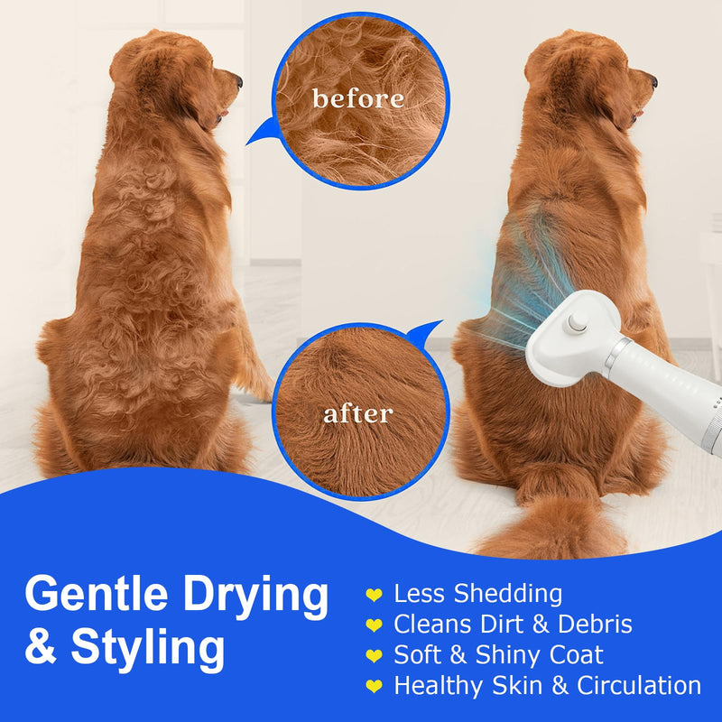 3-in-1 Pet Hair Dryer Brush for Dogs & Cats – Portable Blower & Slicker Brush, Adjustable Temperature, Overheat Protection White