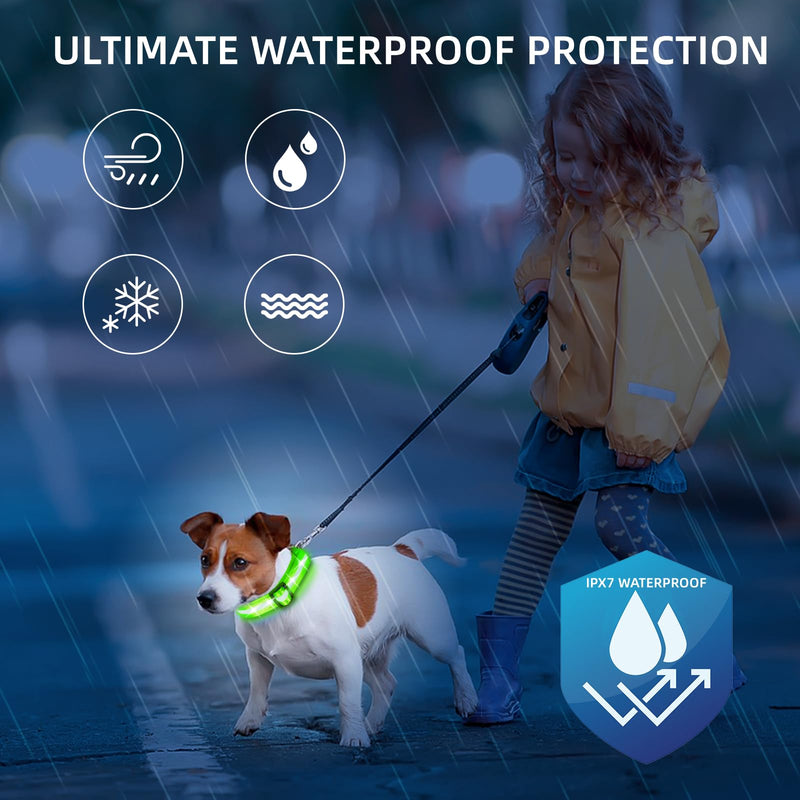 Super Bright LED Dog Collar - Fully Waterproof & Adjustable Glow Collar - USB-C Rechargeable for Night Walking, Safety - Flashing Lighted Collar for Dogs(Green,Medium) Medium (14.5" - 19.5" ) Green - PawsPlanet Australia