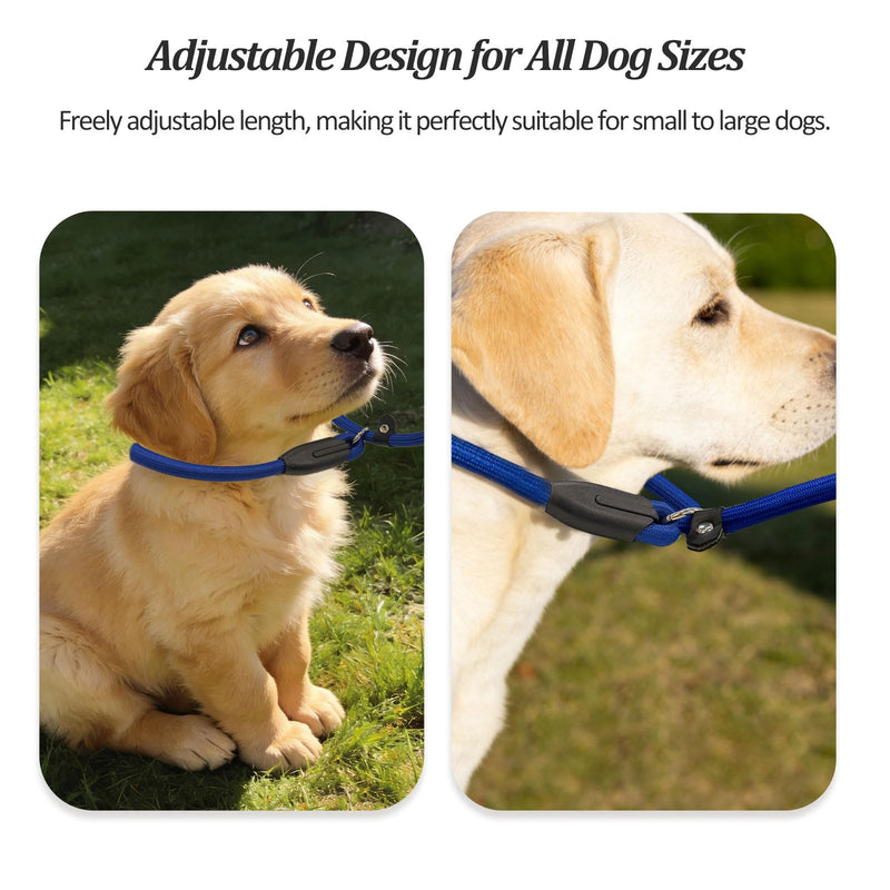 2-Pack Adjustable Nylon Slip Dog Lead – Collar-and-Leash Integrated Design for Training (Black/Blue) - PawsPlanet Australia