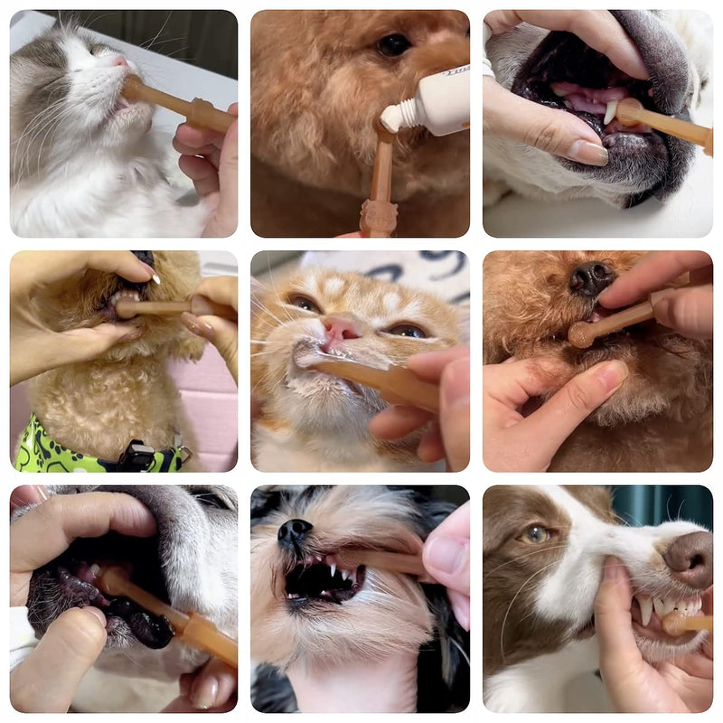 Dog Toothbrush, Pet Silicone Toothbrush Cat Tooth Brushing Kit with Storage Cup, 360° Doggie Kitten Toothbrush Tongue Cleaning Brush, Dental Care for Small Pets Ferret Dutch Pigs - PawsPlanet Australia
