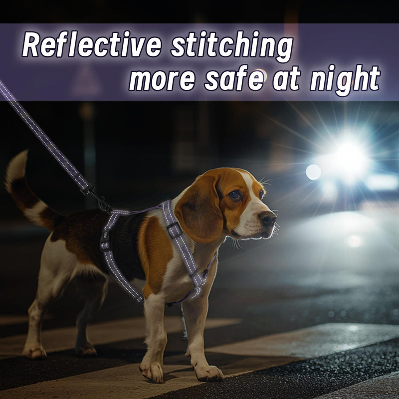 Dog Harness Leash Set, No Pull Adjustable Halter Cute Comfort Padded Handle for Medium Sized Large Small Dogs Walking Training Running with Reflective（XSmall,Purple） Purple XSmall - PawsPlanet Australia