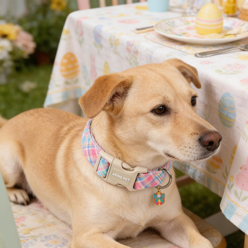 ARING PET Easter Dog Collar, Cute Colorful Plaid Stripe Girl Doggy Collars with Quick Release Buckle for Puppy Small Medium Large Dogs-S Easter-Colorful