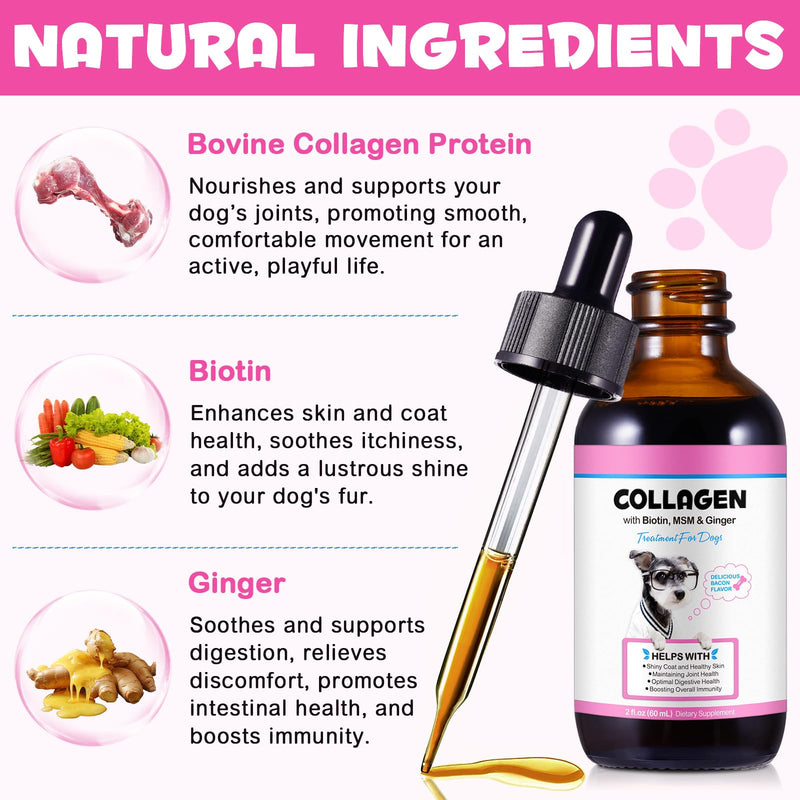 Liquid Collagen for Dogs – Daily Skin, Coat & Joint Support Collagen + | Promotes Mobility, Elasticity & Everyday Vitality | 60 ml Dog Supplement 1PC