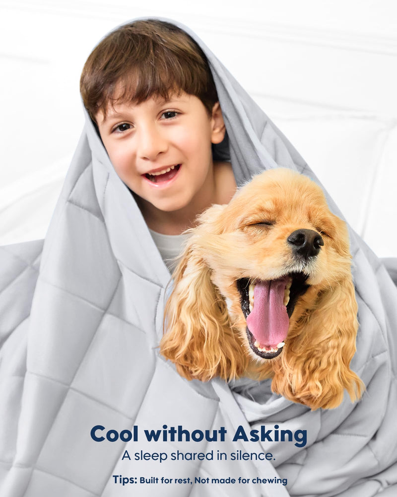 KASBAH Waterproof Dog Blanket Washable Reversible Soft Pet Blanket for Couch Bed Furniture Protection, Suitable for Medium and Large Dogs Gray 40x56inch - PawsPlanet Australia