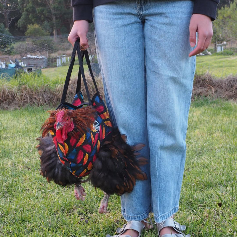 DOWN UNDER OUTDOORS Chicken Carrier Sling Holder Bag with Handle, Chicken Accessories for Foot Treatment, Medic, Leg Injuries, Bumblefoot, Poultry Farm Carrying, Transport, Three Sizes (Small) Small