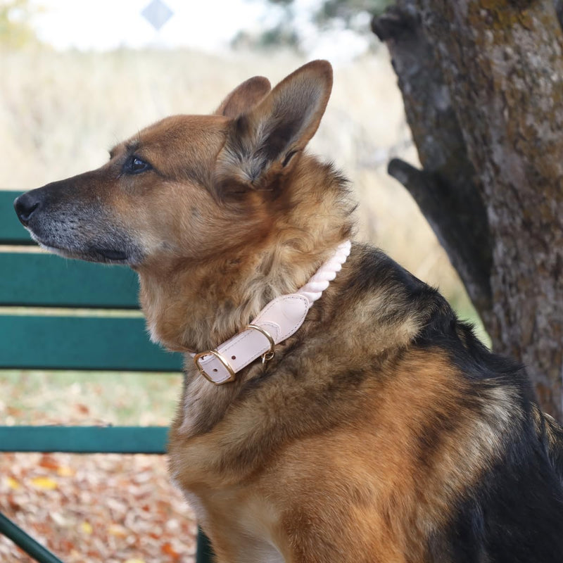 Handcrafted Cotton Rope Dog Collar for Small, Medium & Large Dogs – Soft, Hypoallergenic & Adjustable, Leather Reinforced with Rust-Proof Zinc Clasp. Perfect for Everyday Walks, Training & Weddings Light Pink Large (15" - 18") - PawsPlanet Australia