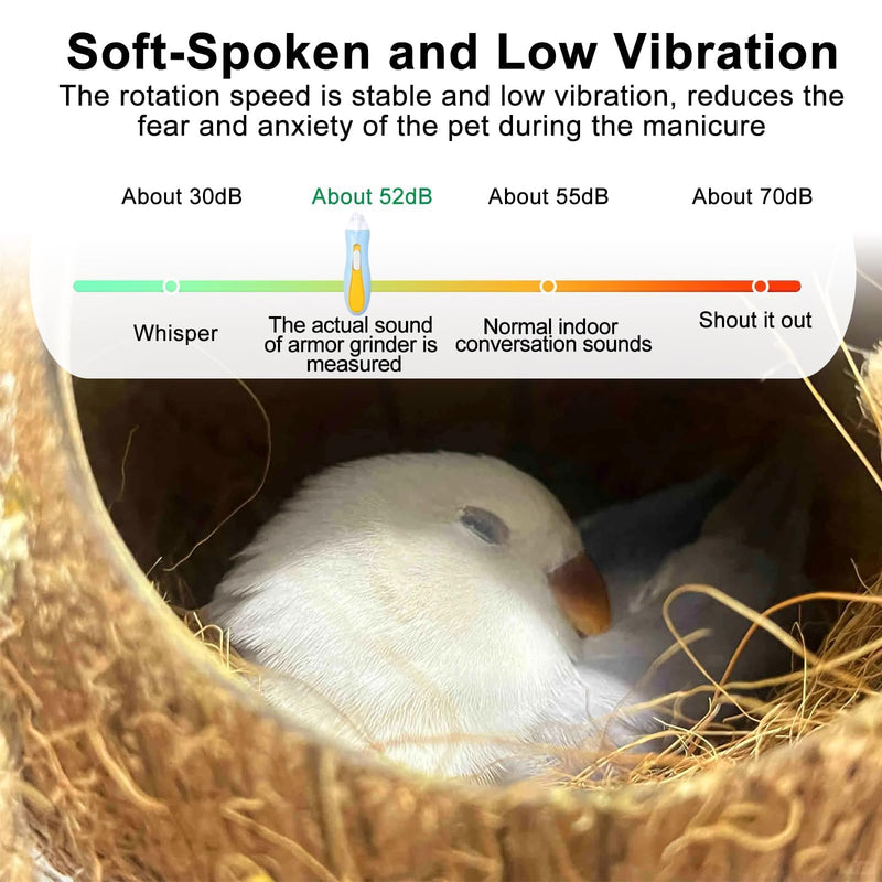 Bird Nail Grinder,Bird Nail Trimmer,Bird Beak Trimmer with LED Lights,Electric Bird Beak Grinding Stone,with 6 Grinders Adjustable Speed,for Budgies,Parakeets,Conure,Cockatiels,Lovebirds,Finches. - PawsPlanet Australia