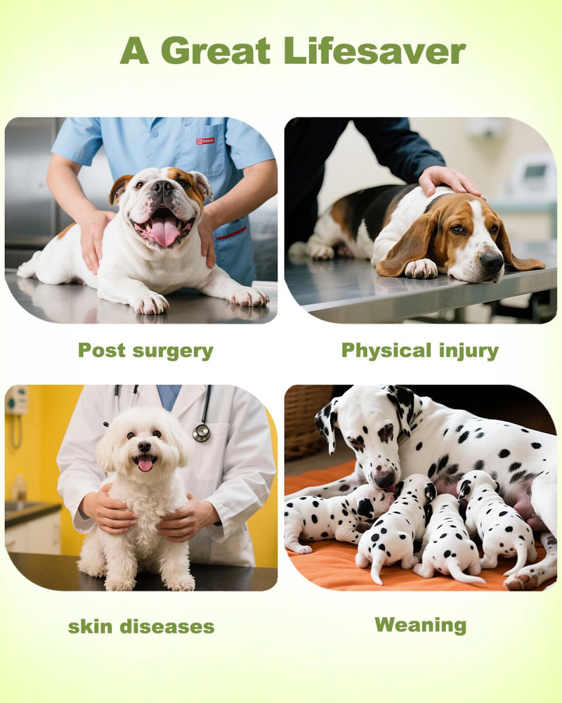 CuteBone Dinosaur Pet Surgery Recovery Suit for Large Dogs Cats, Surgical Onesie for Male Pets, Anti-Licking Wound Suit E-Collar Alternative Post Operative Wear SSF16XL Dinosaur#03 X-Large