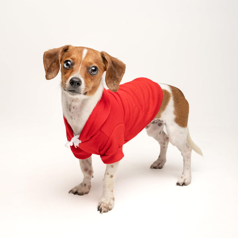 Stealing Hearts & Blasting Farts Valentine's Day Dog Hoodie Fleece Lined Pullover Sweatshirt with Leash Hole (Red, Medium 983) Red-Hoodie Medium (6-12lbs) - PawsPlanet Australia