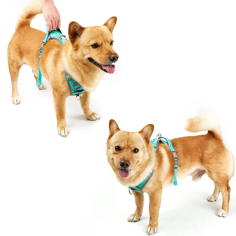 No Pull Dog Harness Adjustable Reflective Adjustable Breathable Vest Soft Mesh Padded Pet Harness with Metal Leash Hooks Easy Control Handle for Small to Large Dogs Medium - PawsPlanet Australia