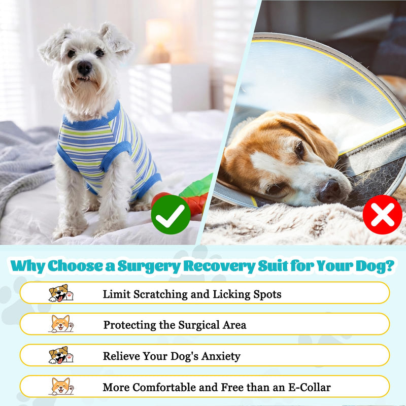 FEimaX Dog Surgery Recovery Suit, Puppy Surgical Bodysuit After Surgery for Female Male Dogs Recovery Suits Cone E-Collar Alternative Dog Onesie Pet Shirt for Small Medium Dogs Cats (L, Blue) L