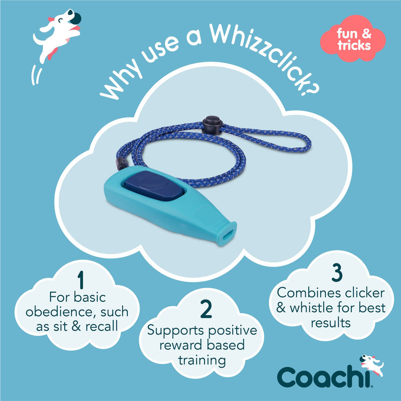 Coachi Whizzclick, 2-in-1 Combined Clicker and Whistle, Dog Training Whistle for Recall and Clicker Training for Rewarding, Adjustable and Reflective Lanyard, Suitable for Dogs and Puppies Light Blue - PawsPlanet Australia