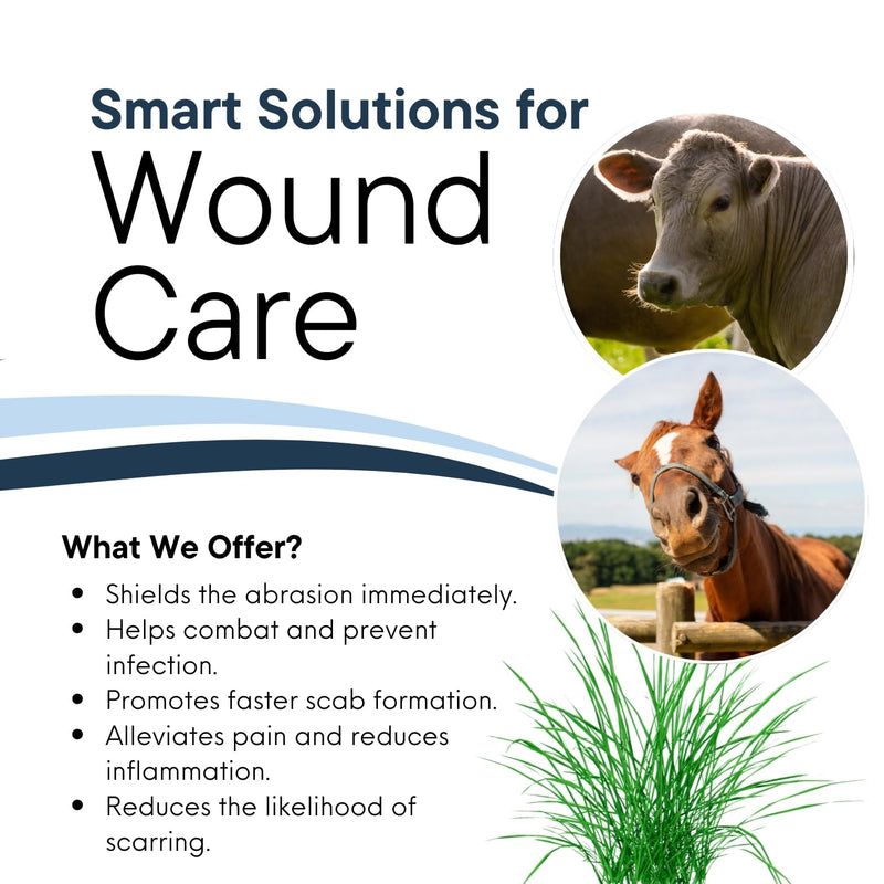 Wound Salve - For Horses, Pets, Livestock & People - Calendula, Shields Abrasions, Stops Infections, Promotes Scabbing, Reduces Inflammation & Scarring, Vet-Approved - Bev's Magic Salve (12 oz) 12 oz
