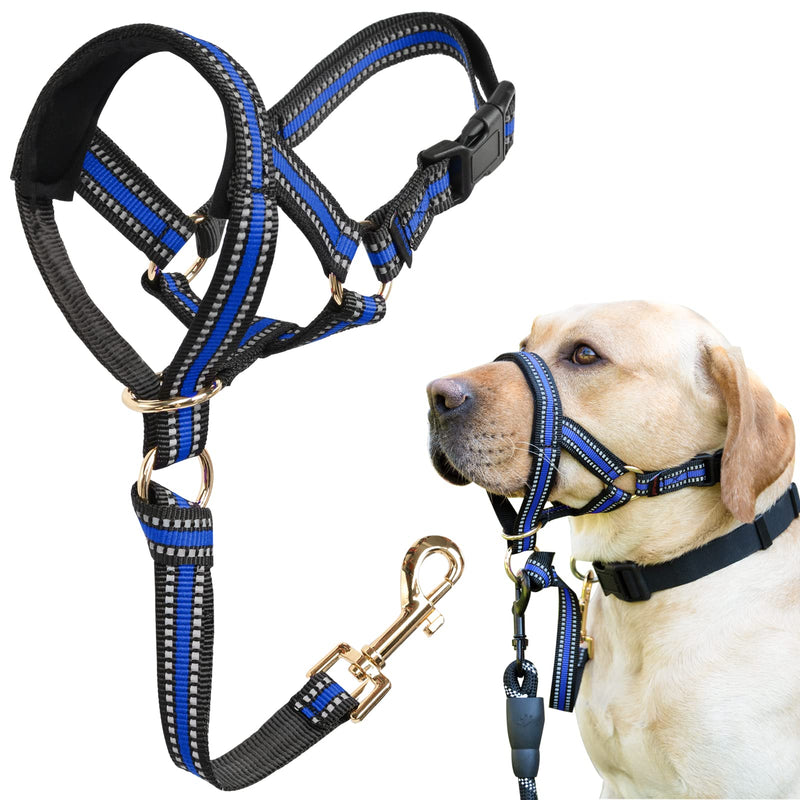 BARKLESS Muzzle Leash for Heavy Pullers, No Pull Stylish Head Halter for Medium Large Aggressive Dogs, Gentle Dog Face Harness Stops Pet Pulling and Choking on Walks, Adjustable Head Collar (L, Blue) L