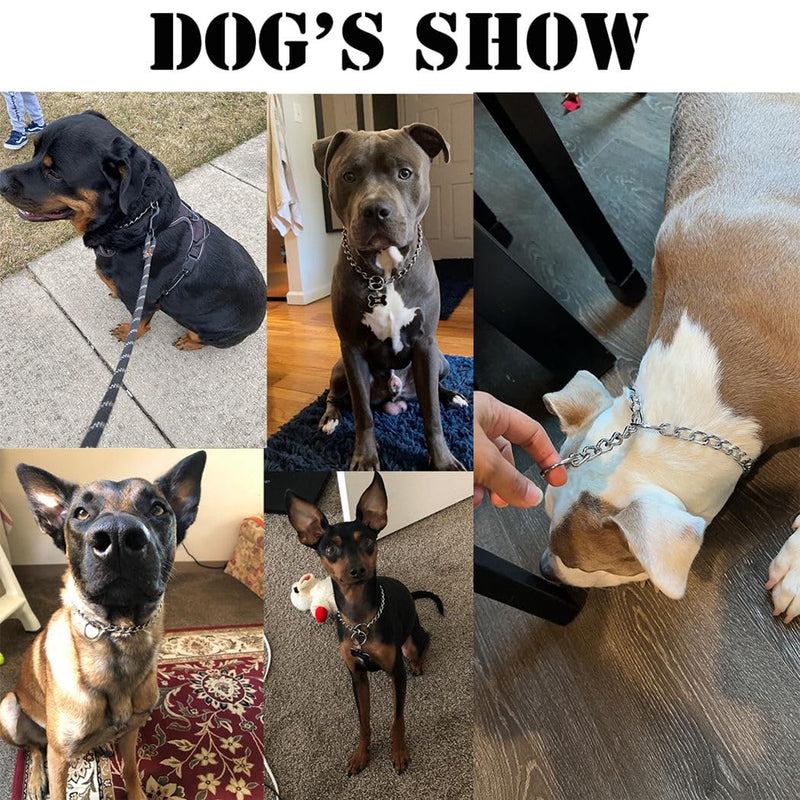 Choke Chain for Dogs, Metal Slip Link Training Heavy Duty Dog Choke Collar Martingale Puppy Collars for XXS XS Small Medium Large Big XL Breed Dogs, Silver S S(Neck Max 16inch)D2.5mm - PawsPlanet Australia