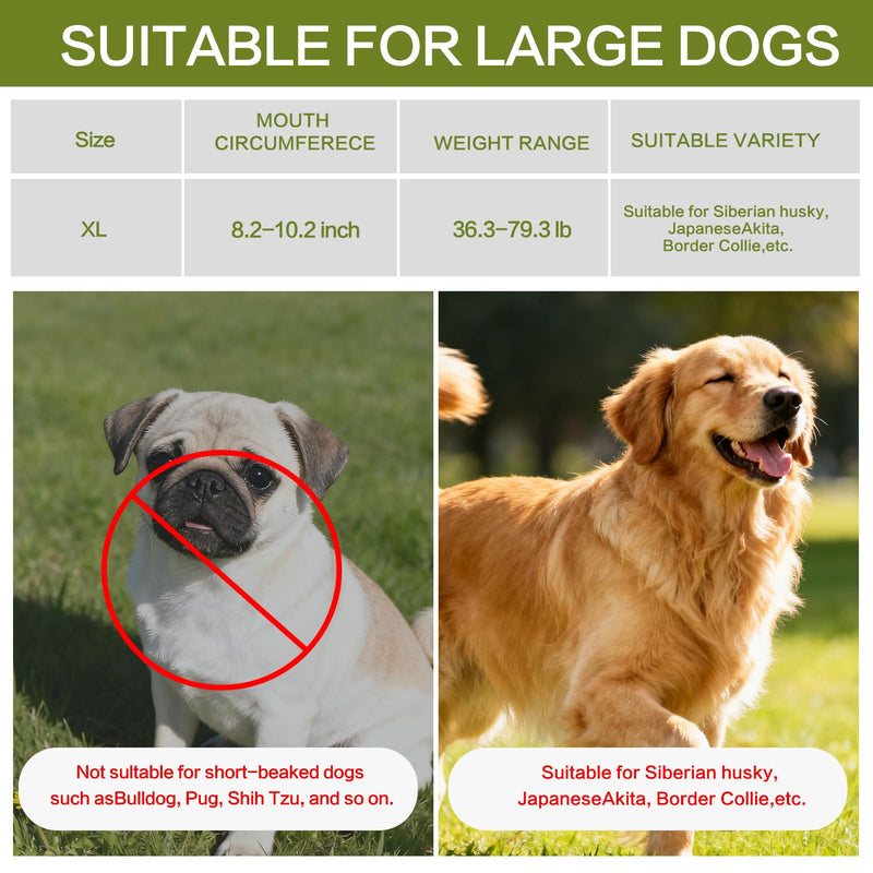 Prevents Biting Barking Chewing Muzzle for Large Dogs - Soft Breathable Air Mesh Muzzle for Large Sized Dog | Adjustable Straps Dog Mouth Guard | XL Size 8.2-10.2 Inch - PawsPlanet Australia