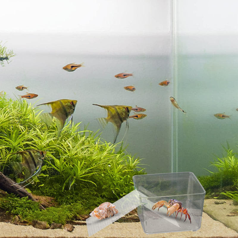 2 Pack Transparent Hermit Crab Water Tank with Climbing Ramp, Hermit Crab Aquarium Tank Cage Salt Water Pool Accessories, Hermit Crab Habitat for Small or Medium Hermit Crab Habitat - PawsPlanet Australia