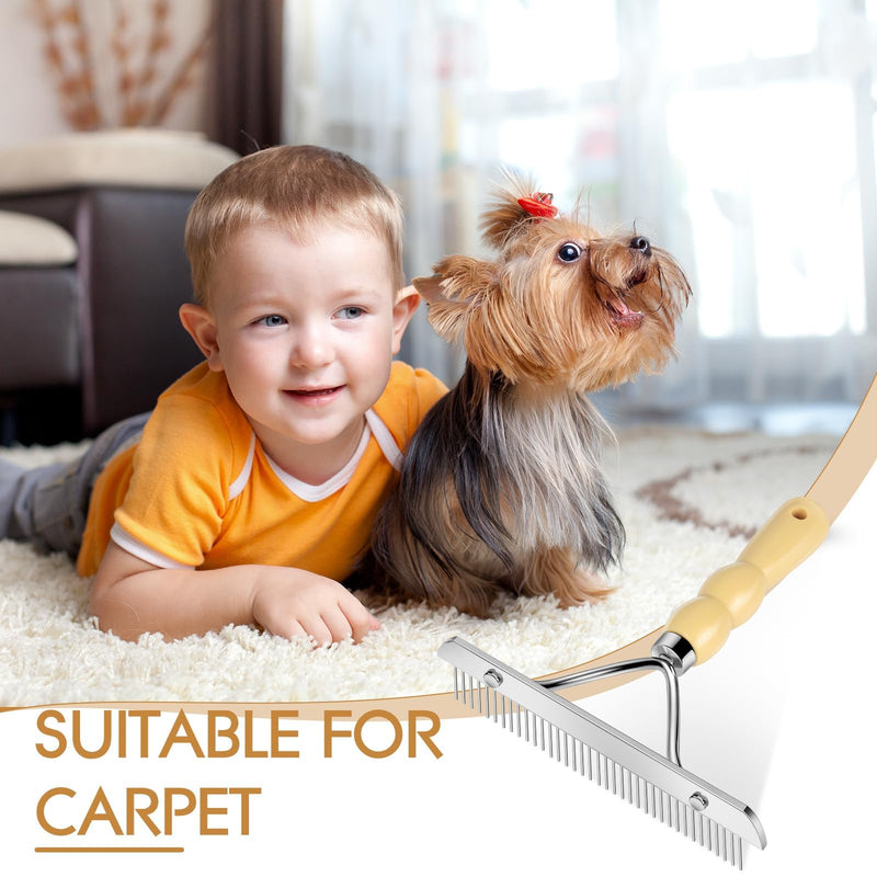 Metal Handheld Carpet Rake for Fluffy Plush, Pet Hair Removal Tool, Reusable Cat & Dog Hair Remover Comb, Brush Scraper Broom for Shag Rugs, Home Cleaning - Efficient Pet Hair Pickup - PawsPlanet Australia