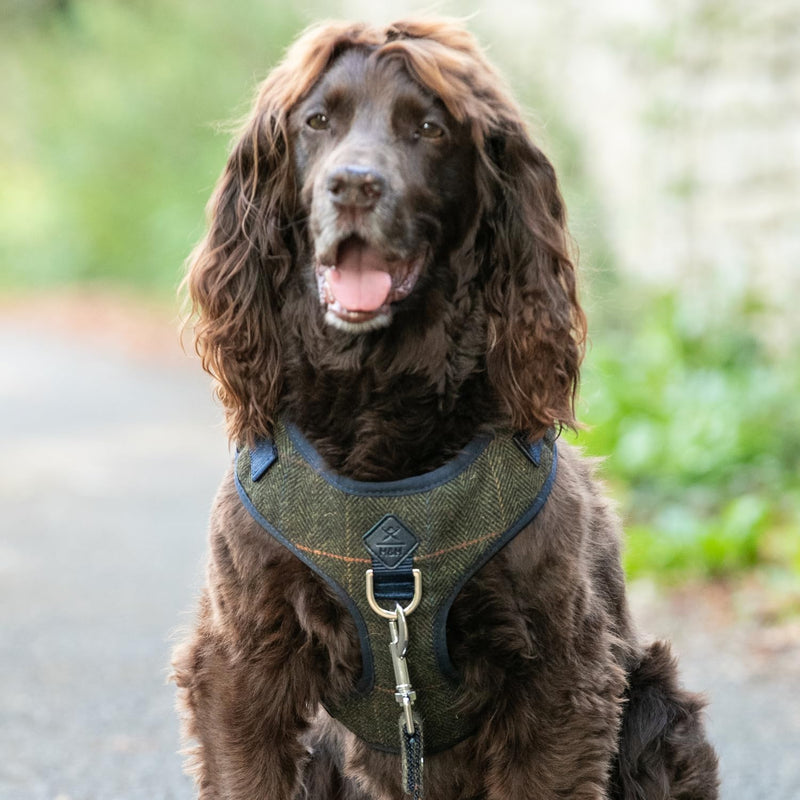 HUGO & HUDSON x HACKETT Tweed Dog Harness Adjustable No Pull Vest, Dark Green Checked Herringbone XS
