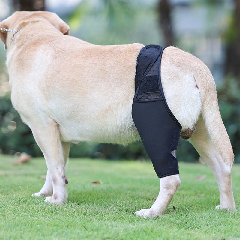 Hip Joint Bandage for Dogs, Knee Brace for Dogs Made of Breathable and Elastic Fabric, Wear-resistant Hip Bandage for Dogs Made of Breathable and Elastic Fabric for the Limbs Black M