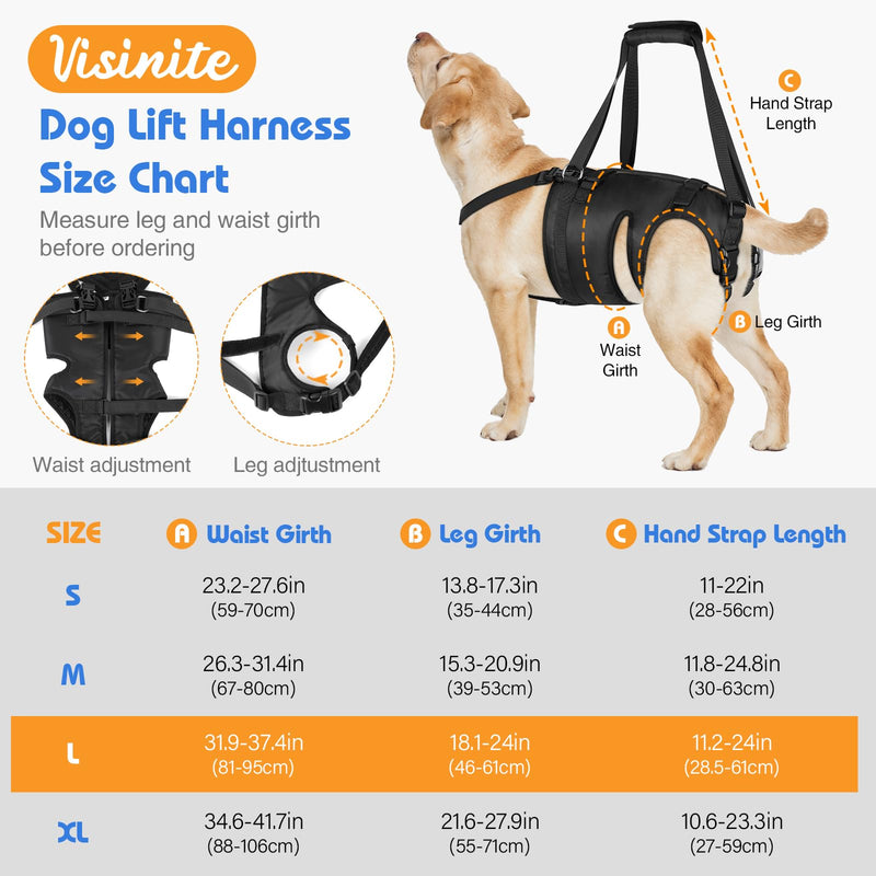 Dog Lift Harness for Large Dogs, Dog Sling for Large Dogs Hind Legs, Dog Back Legs Support Harness Lifting with Handles Dog Hip Support Brace Help for Arthritis Weak Legs Injuries Mobility - PawsPlanet Australia