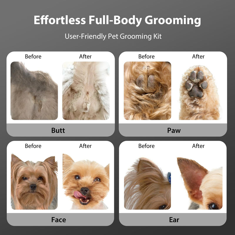 Dog Grooming Kit, Dog Clippers for Grooming for Thick Curly Coats, Professional Pet Hair Shaver Paw Trimmer Cordless Rechargeable Low Noise for Dogs Cats Animals Face Ear Black - PawsPlanet Australia