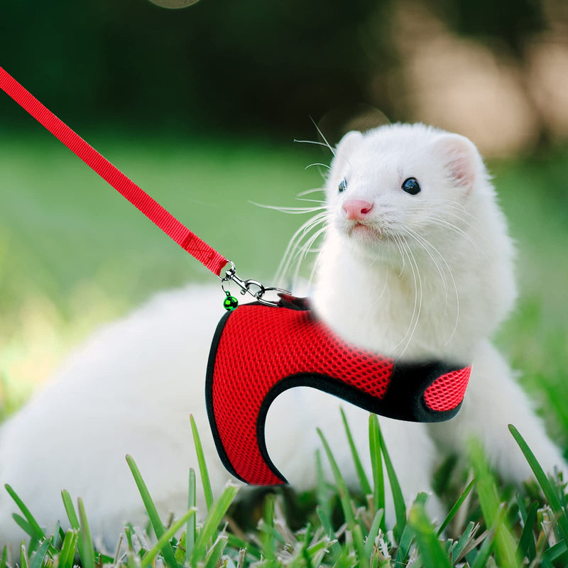 Rypet Small Animal Harness and Leash - Soft Mesh Pet Harness with Safe Bell, No Pull Comfort Padded Vest for Small Pet Red Small (Pack of 1) - PawsPlanet Australia