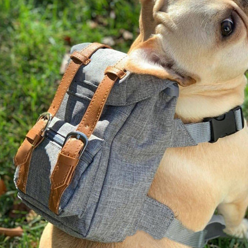 Cute Dog Backpack for Dogs to Wear Puppy Backpacks Adjustable Pet Self Carrier Bag with Harness Buckle for Hiking Daily Walking, Grey - PawsPlanet Australia