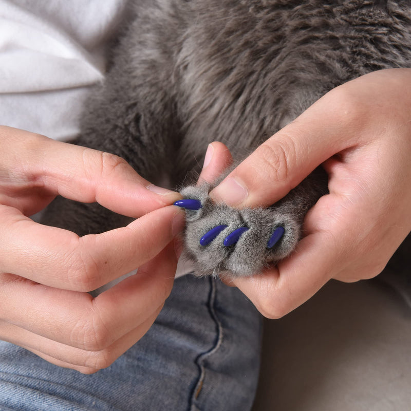 Kitty Caps Nail Caps for Cats | Spring Green with Glitter & Ultra Violet, 40 Count, Medium - 3 Pack | Safe, Stylish & Humane Alternative to Declawing | Stops Snags and Scratches Large (13 lbs or greater) 3-Pack - PawsPlanet Australia