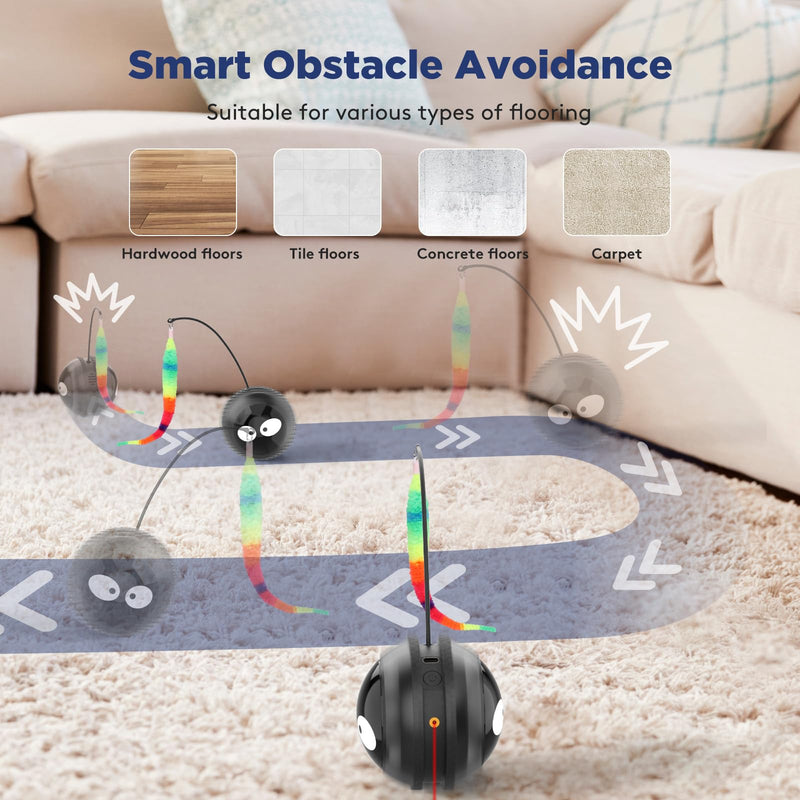 Cat Toys for Indoor Cats, Innovative Interactive Cat Toy Ball with Bird Chirping, USB Rechargeable Automatic Exercise Rolling Cat Toy for Bored Indoor Adult Cats Kittens, Black - PawsPlanet Australia