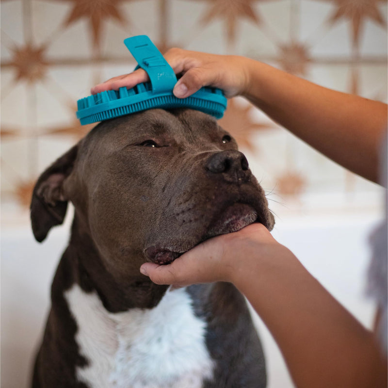 Messy Mutts Reversible Silicone Dual Sided Pet Grooming Brush | Gentle Massage, Brushing, Bathing and Dog Hair Removal Tool | One Size Fits All | Blue - PawsPlanet Australia