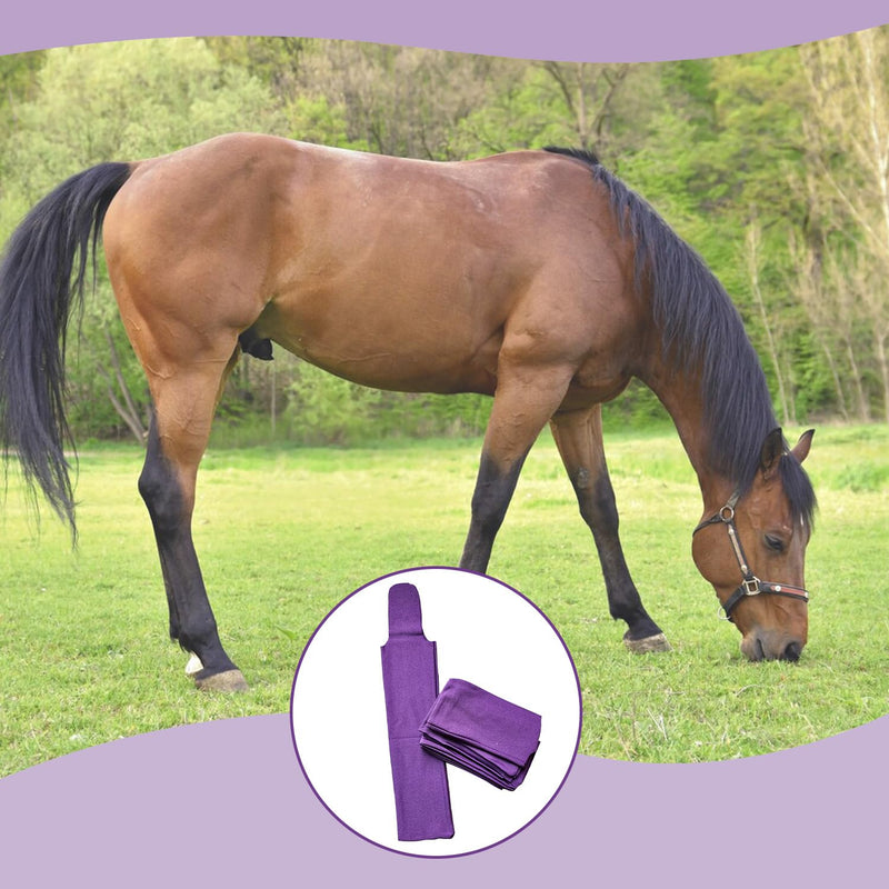 Ranch Hand Horse Mane Bags | Horse Tack/Supplies | Pack of 6 | Protect Horse's Mane from Wind, Sun, Mud, Preventing Tangles, Rubbing Out, and Breakage | Handmade with High-Quality Nylon (Purple) Purple - PawsPlanet Australia