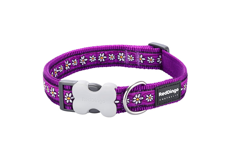 Red Dingo Bucklebone Dog Collar Design, Daisy Chain Purple, Medium 20mm M (Pack of 1)