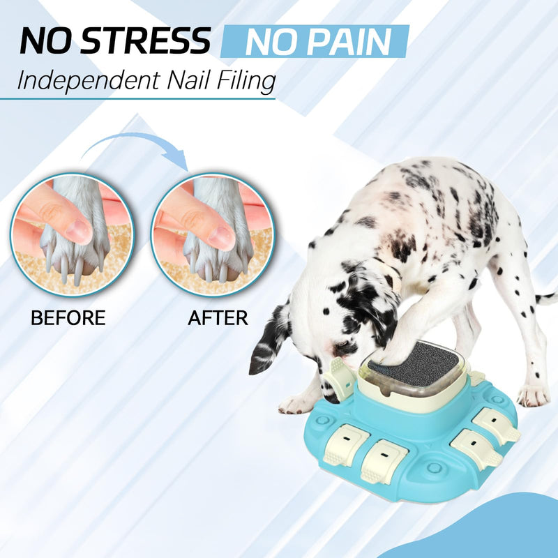 10 Pcs Dog Claw Care Sandpaper - Replacement Sandpapers for Dog Nail File Board Scratch Pad,Dog Claw Grooming Supplies - PawsPlanet Australia