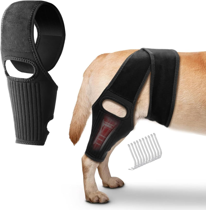 2024 Upgraded Dog Hip Brace Large Breed Dog Knee Brace- Dog Acl Brace Hind Leg & Joint Relief - Dog Leg Braces - Back Leg for Support (M) Medium - PawsPlanet Australia