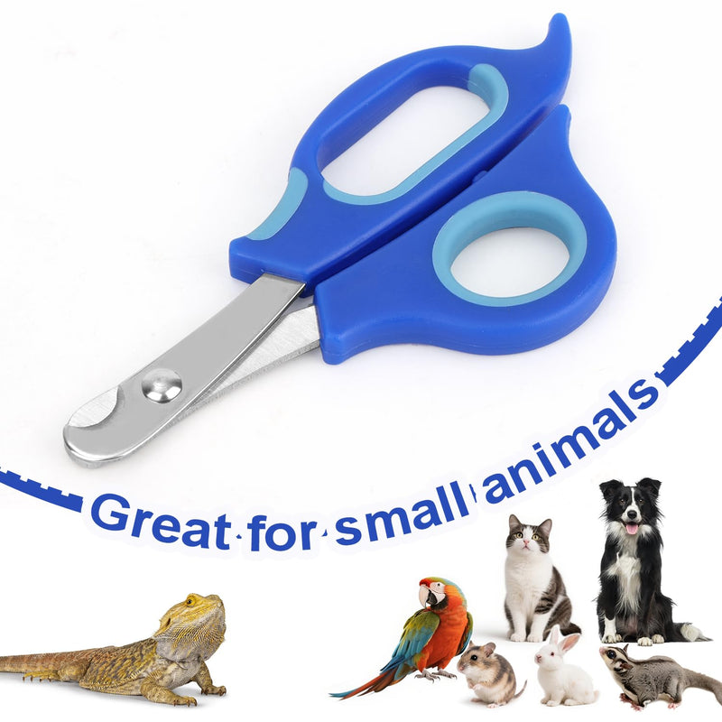 Bearded Dragon Nail Clippers and File, Stainless Steel Small Animal Toe Nail Trimmer Scissors Professional Grooming Pet Tool for Reptiles Turtle Chameleon Iguana (Blue) - PawsPlanet Australia