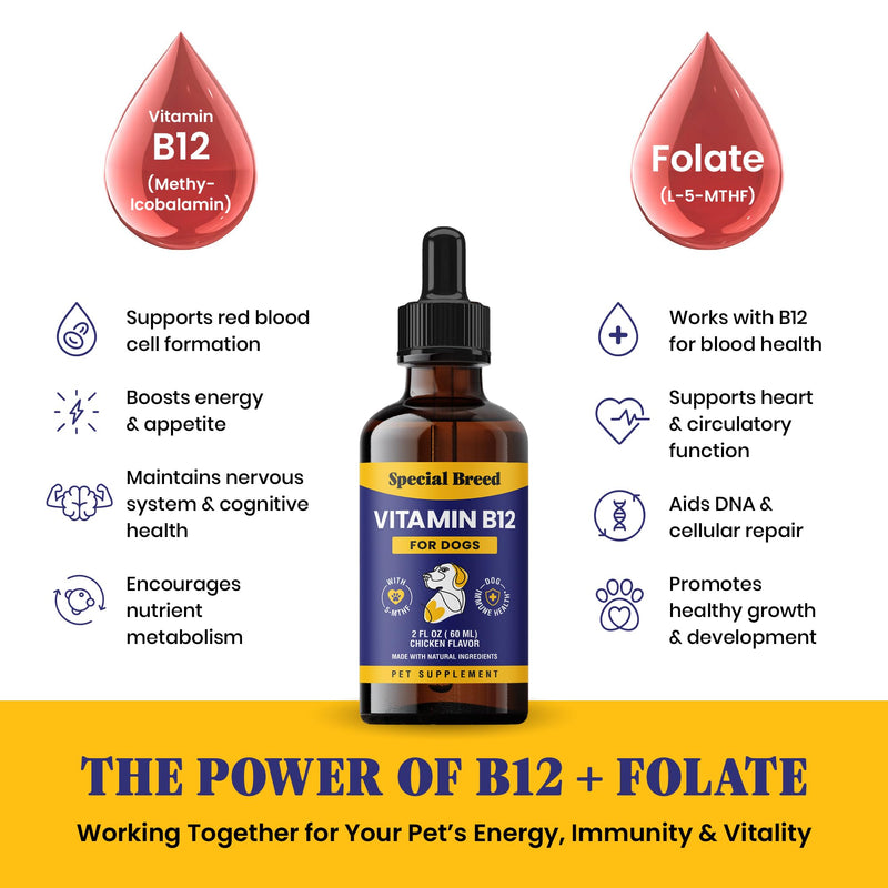 Special Breed Liquid Vitamin B12 for Dogs – Methylcobalamin and 5-MTHF – Boosts Energy, Appetite, Mood & Immune System Support, Easy-to-Use Dropper - Chicken Flavor, 2 fl oz - PawsPlanet Australia